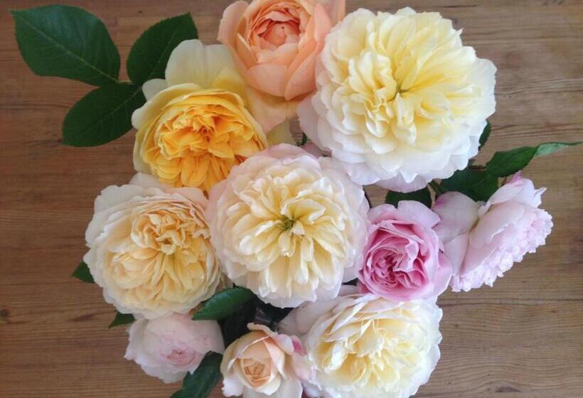 غرفة أساسية, Bay View Guest House