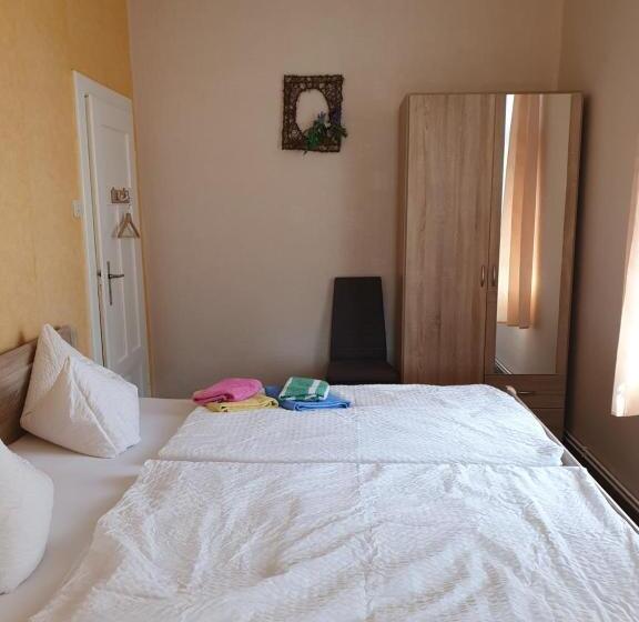 マウンテンビュースタンダードルーム, Pension Edelweiß