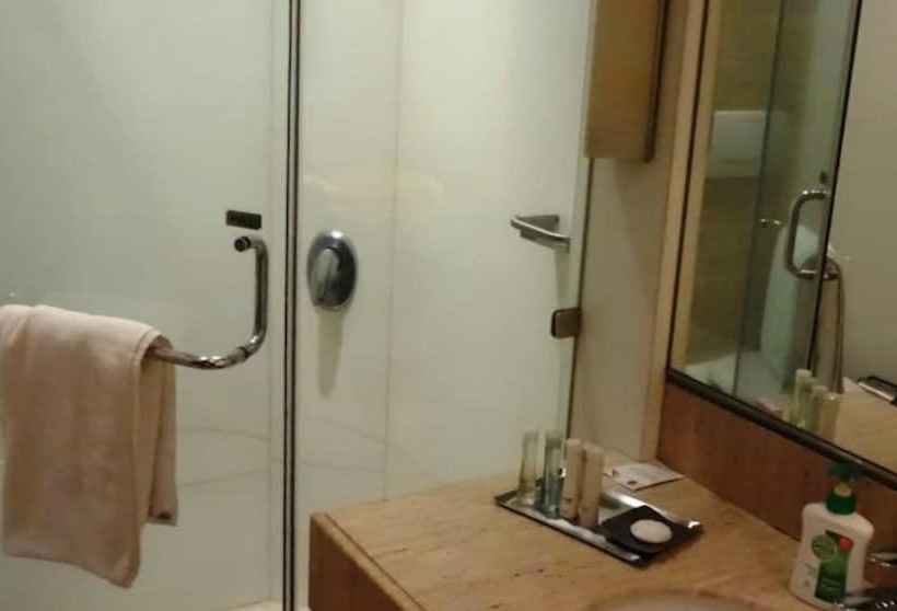 חדר אקזקיוטיב, Mirage Hotel, Mumbai International Airport