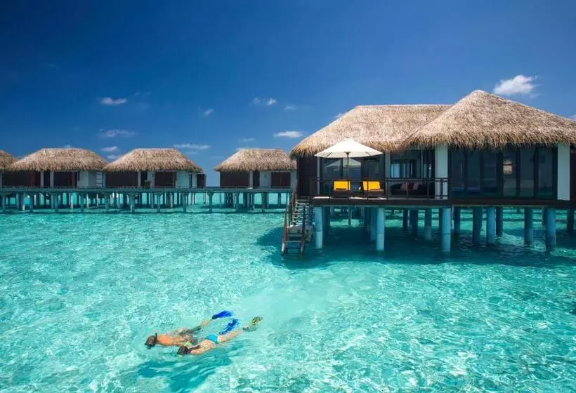 ویلای 1 خوابه, Velassaru Maldives