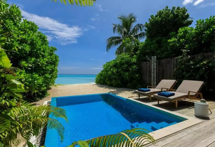 ویلای یک اتاق خوابه با استخر شنا, Velassaru Maldives