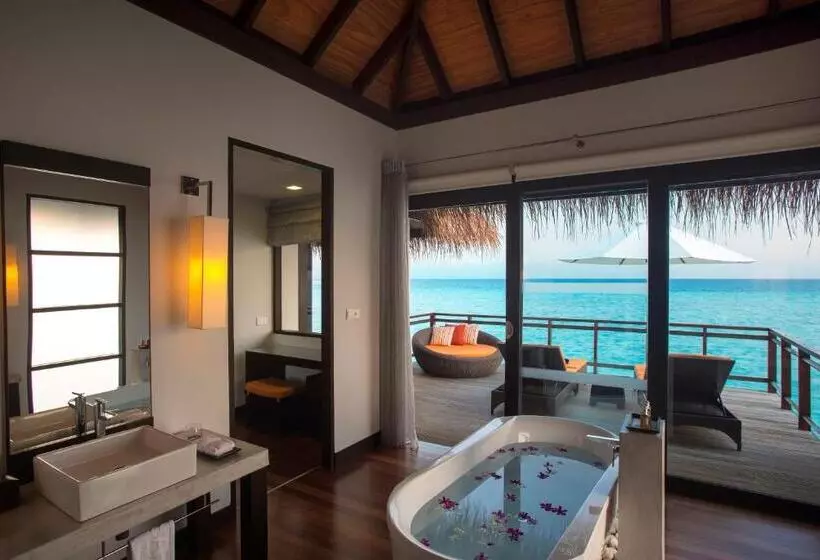 ویلای یک اتاق خوابه با استخر شنا, Velassaru Maldives