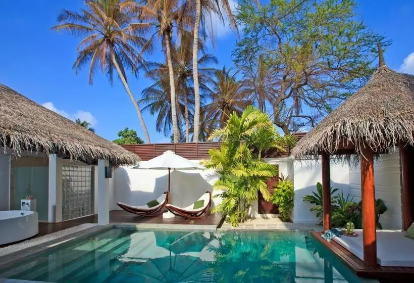 ویلای یک اتاق خوابه با استخر شنا, Velassaru Maldives