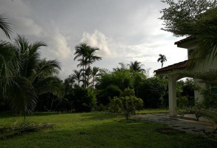 Бунгало Deluxe, Guesthouse Dragon Place