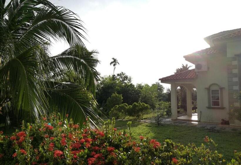 デラックスバンガロー, Guesthouse Dragon Place