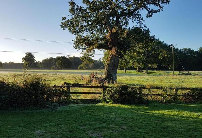 ファミリールーム, The Barn Tarporley