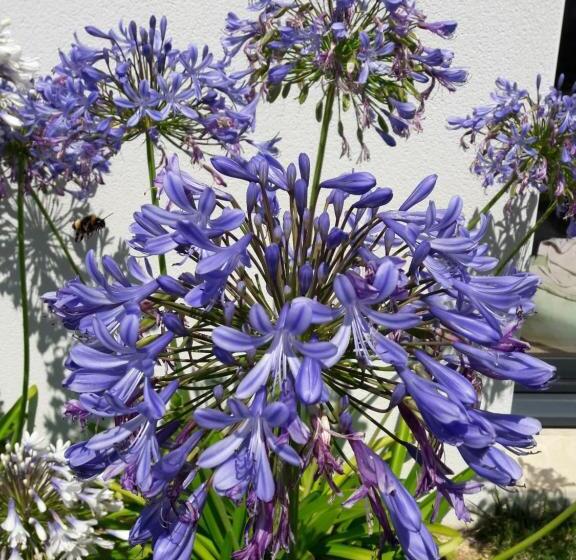 Standard Connecting Room, Le Temps D Une Pause