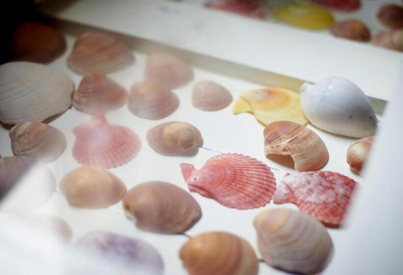 استودیو خانوادگی, O Quintal Guesthouse