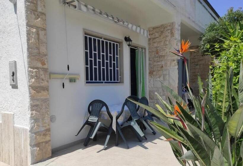 スタンダードルーム, Elis...land..