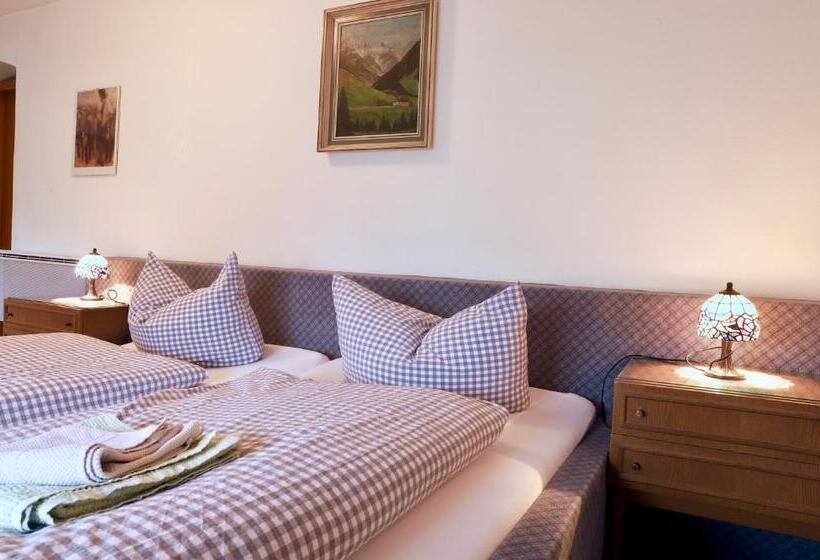 דירת חדר, Pension Adler