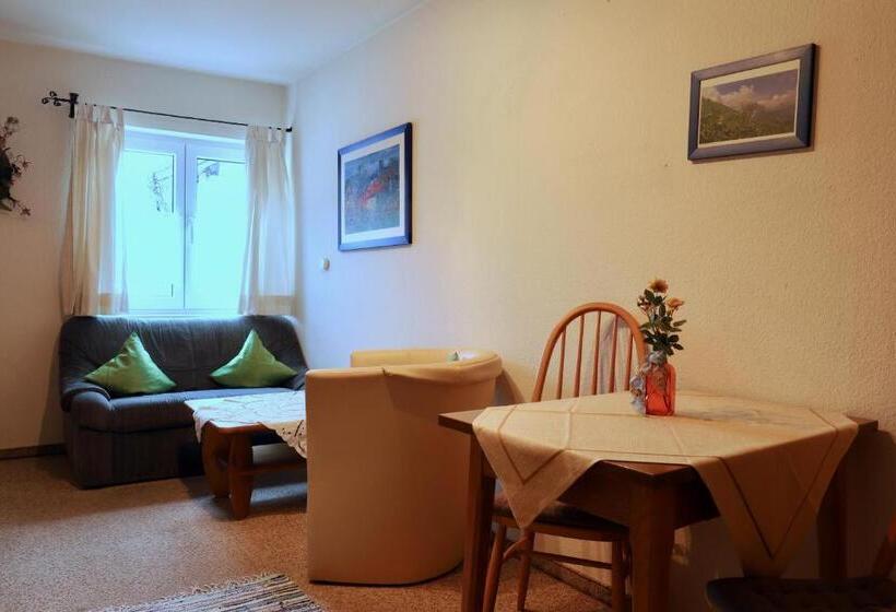 Апартаменты 1 Спальня, Pension Adler