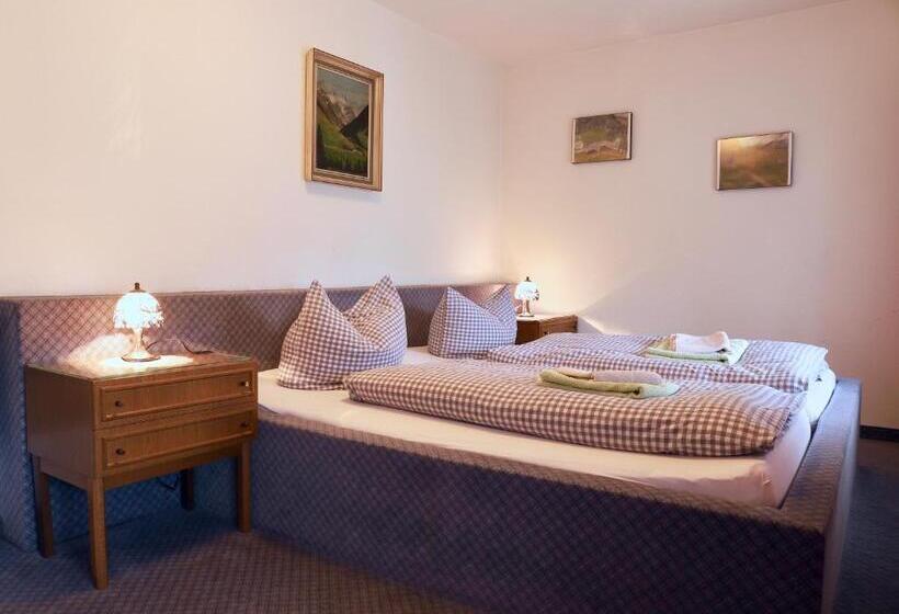 דירת חדר, Pension Adler