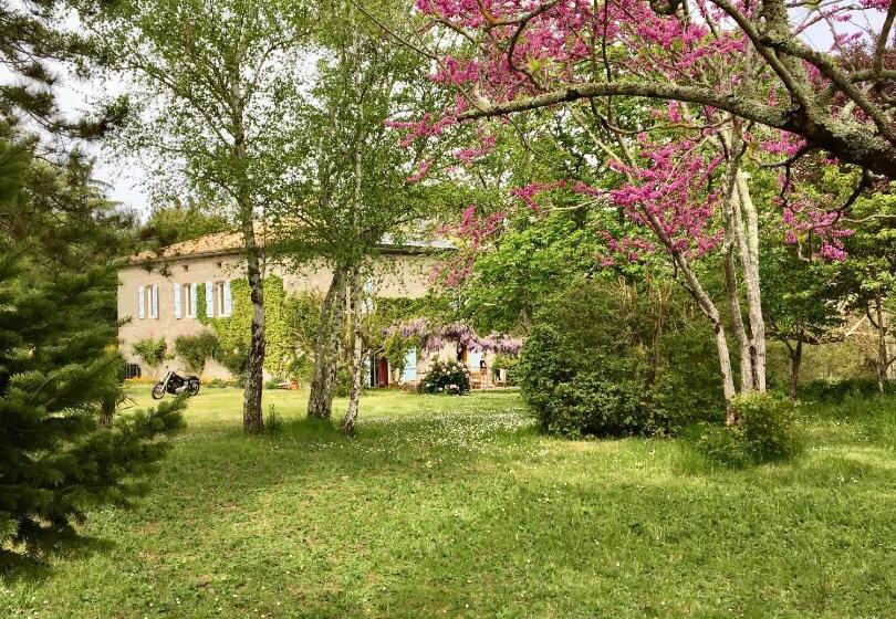 스위트, Château De Cartou