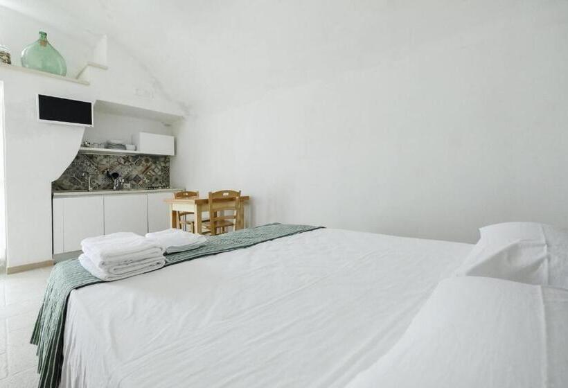 Estudio Estàndard, Corte Scarcia