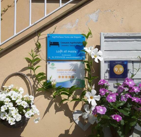 带海景的标准房, Loft Al Mare