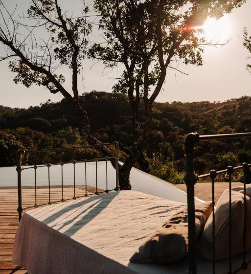 别墅: 1间卧室带游泳池, The One Country House