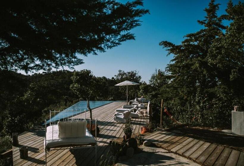 别墅: 1间卧室带游泳池, The One Country House