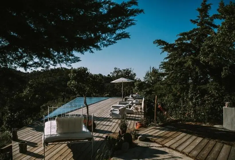 プール付き1ベッドルームヴィラ, The One Country House