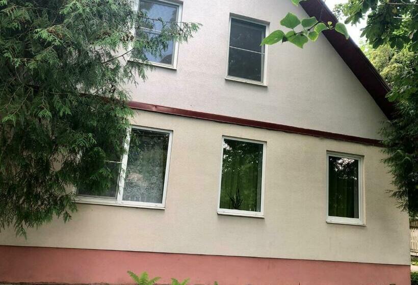 إستديو عائلى, Bierini Park Studio