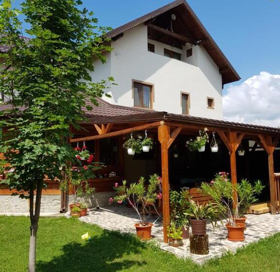 Номер Стандарт, Casa De Vacanta Macovei0744