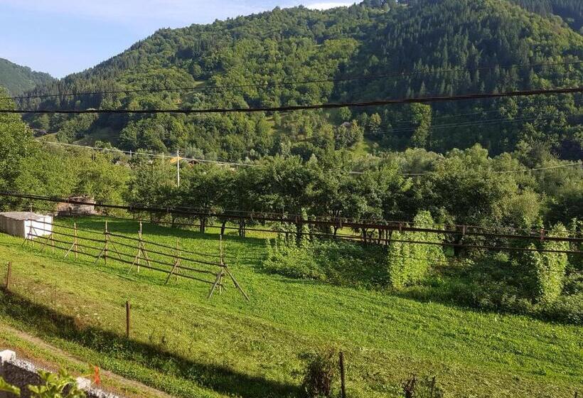 خانه 1 خوابه, Casa Ile