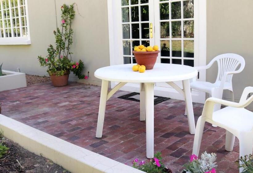 استودیو استاندارد با تراس, Daisy Place