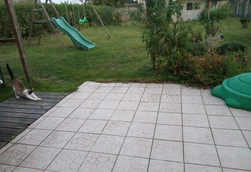 חדר משפחתי, Figalrance Studio