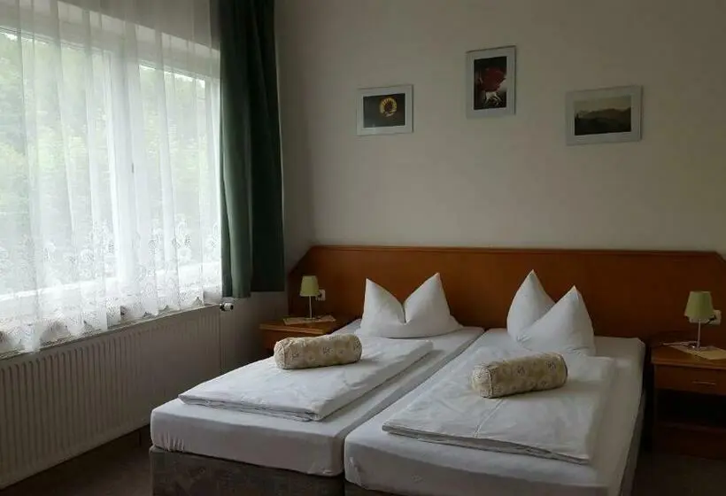 Standard-huone, Pension Waldfrieden