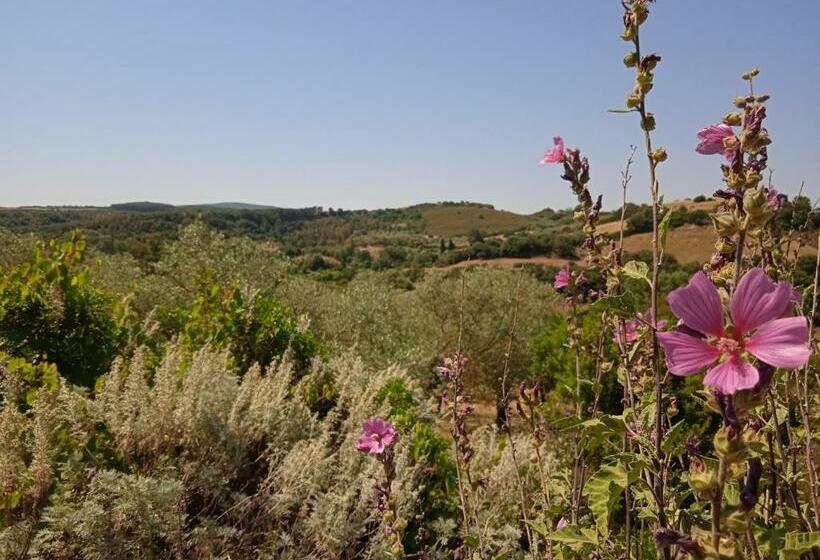 スタンダードルーム, B&b Pibitzoi