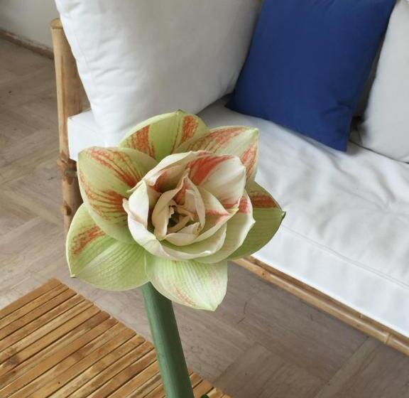 חדר סטנדרט, Villa La Quercia