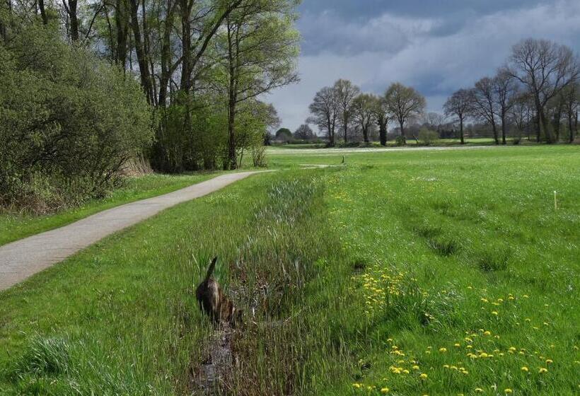 חדר סטנדרט נוף לגינה, Brinkesdiek