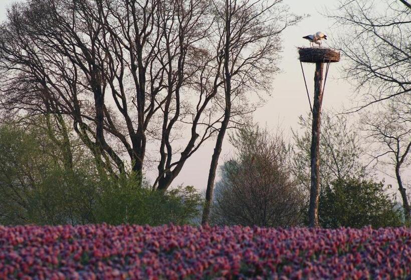 חדר סטנדרט נוף לגינה, Brinkesdiek