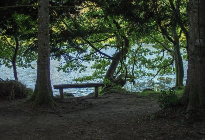 스탠다드 룸 가든 전망, Les Camélias