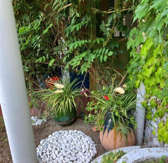 스탠다드 룸, Les Camélias