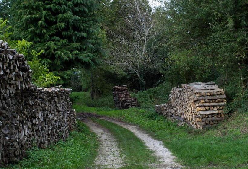 스탠다드 트리플 룸, Les Camélias