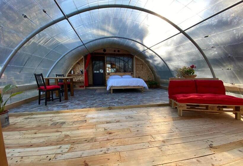 스탠다드 룸 킹사이즈 침대, Les Insolites De Taracopala