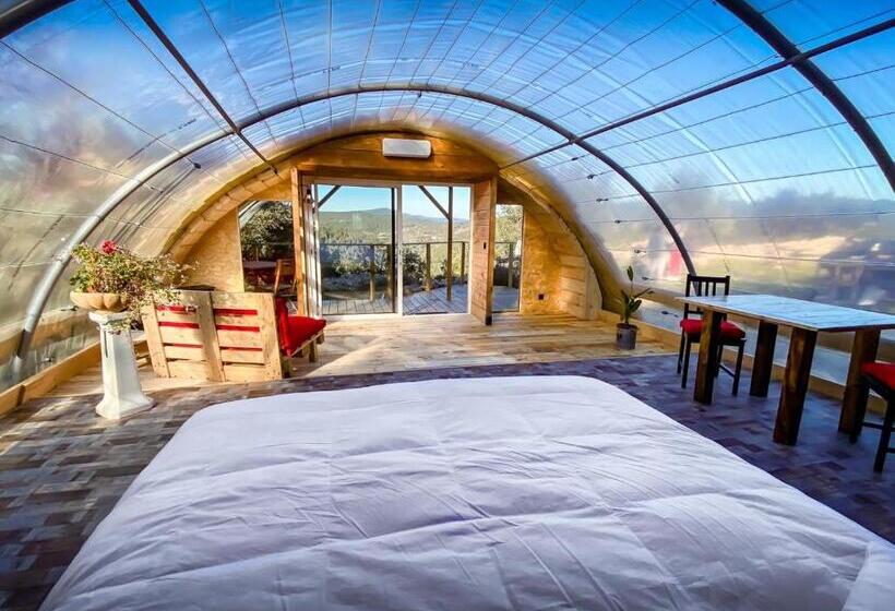 스탠다드 룸 킹사이즈 침대, Les Insolites De Taracopala