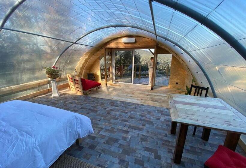 스탠다드 룸 킹사이즈 침대, Les Insolites De Taracopala