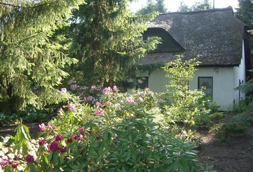 침실 1개 아파트, Bei Ulbrichs Hotel Garni & Catering