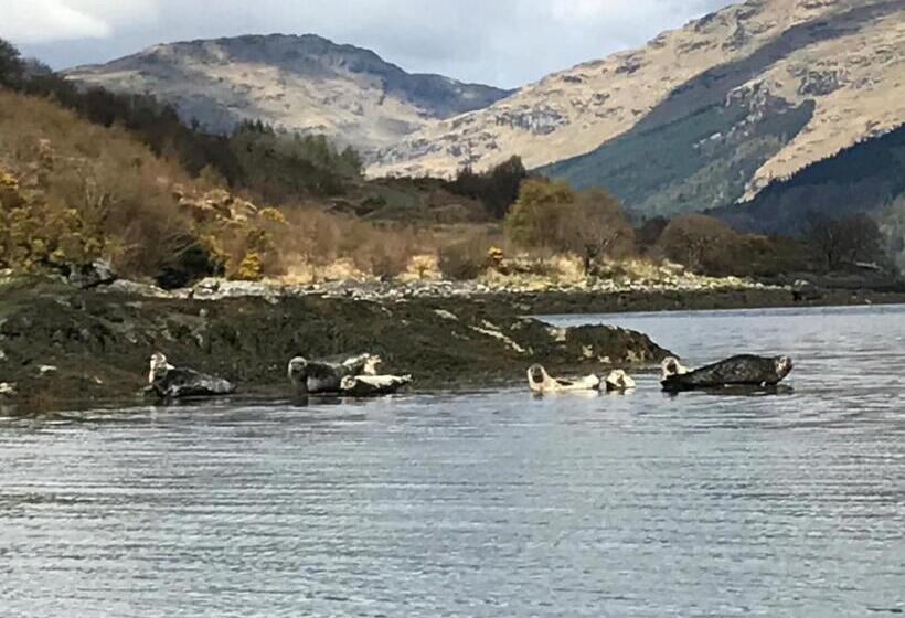 غرفة قياسية مطلّة علي البحيرة, Carrick Farm
