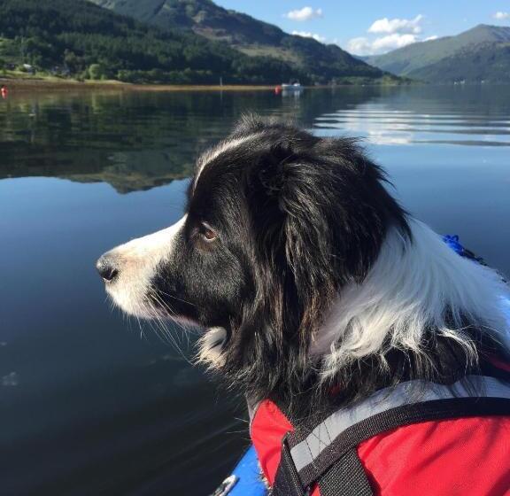 غرفة قياسية حمام مشترك, Carrick Farm