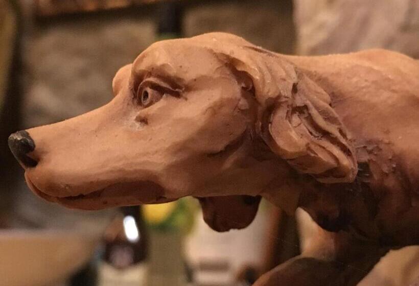 스탠다드 전망 룸, Provinum Borászat és Vendégház