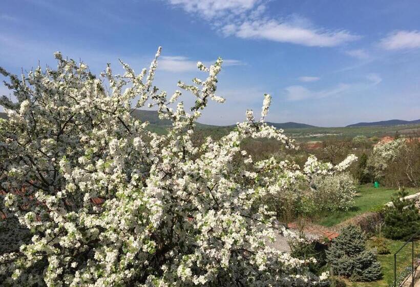 스탠다드 전망 룸, Provinum Borászat és Vendégház