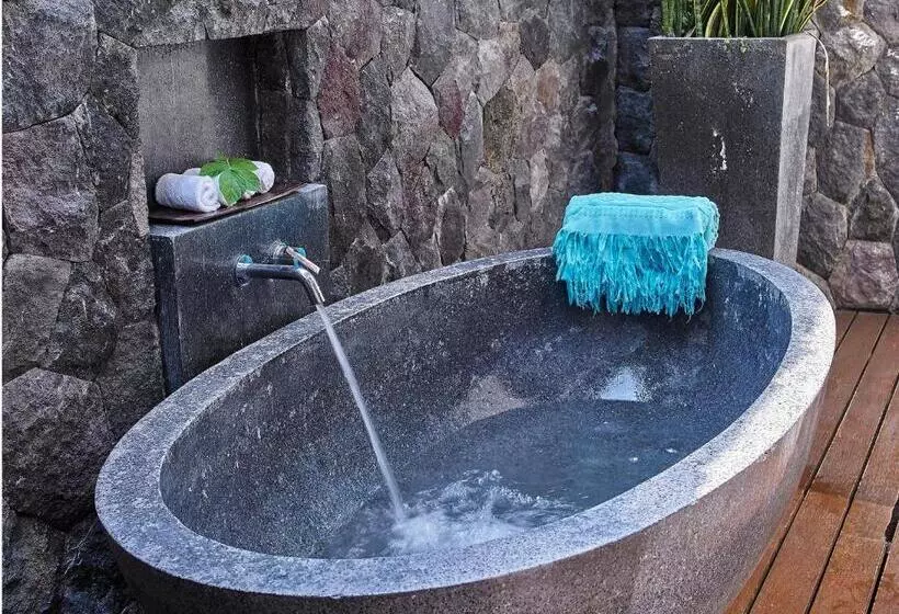 ツーベッドルーム　ヴィラ, The Purist Villas & Spa Ubud