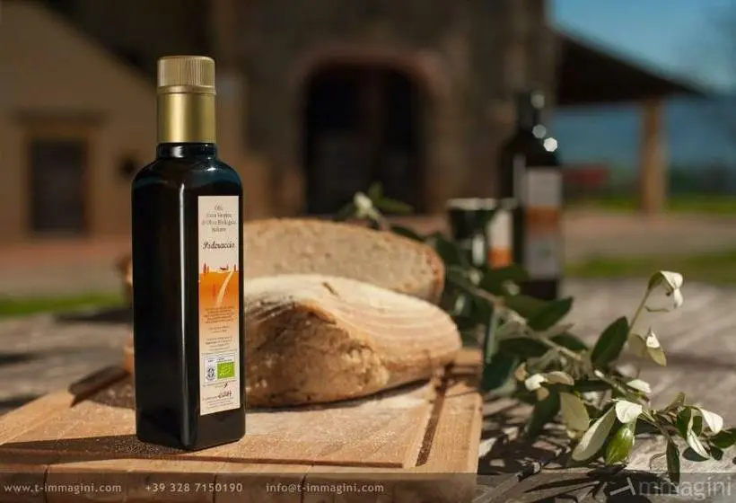 景色の見える一ベッドルームアパートメント, Bioagriturismo Poderaccio