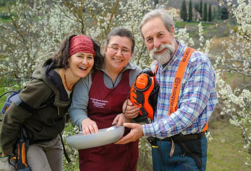 Апартаменты 1 Спальня с Видом, Bioagriturismo Poderaccio