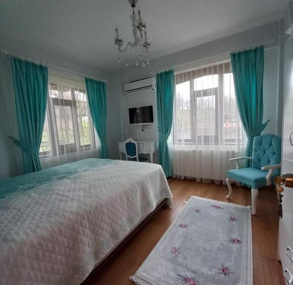 غرفة ديلوكس, Hayat Oksijen Resort