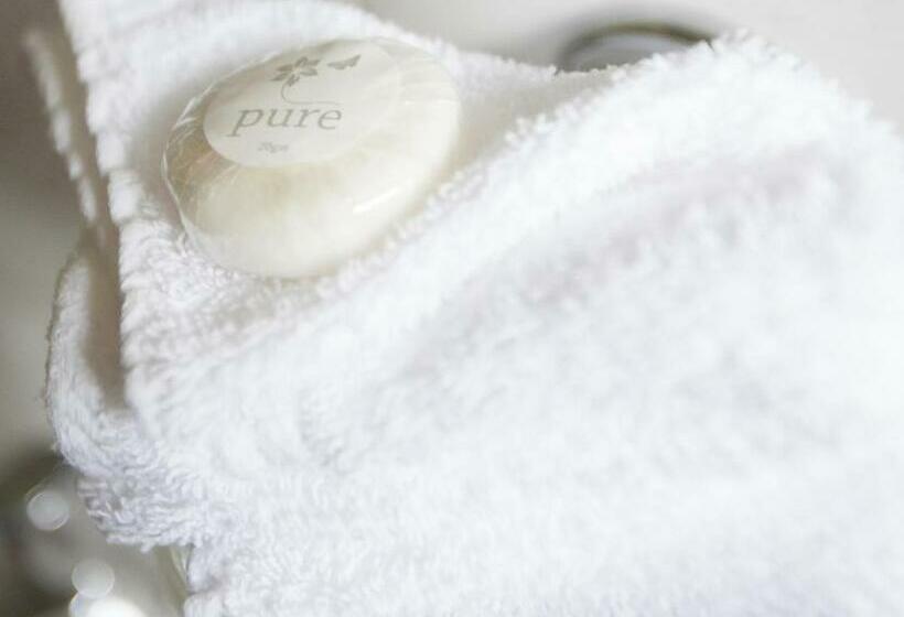 带大床的标准间, Wicklow Way Lodge