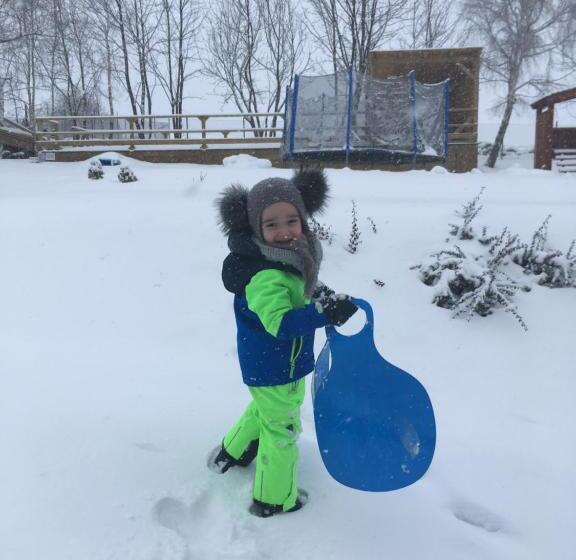 منزل غرفة نوم واحدة, Apartments Villa Viola