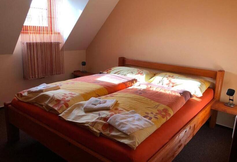 غرفة قياسية, Penzion Kelt